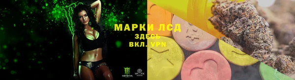 ПСИЛОЦИБИНОВЫЕ ГРИБЫ Аркадак