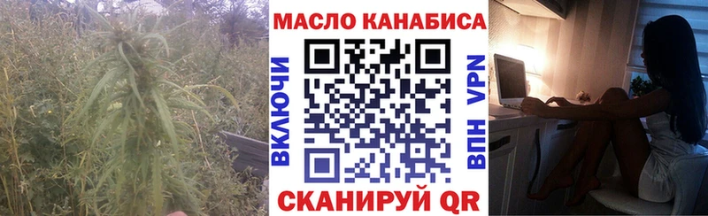 ТГК гашишное масло  где можно купить наркотик  KRAKEN зеркало  Перевоз 